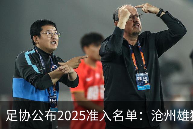 足协公布2025准入名单：沧州雄狮、广州队无缘
